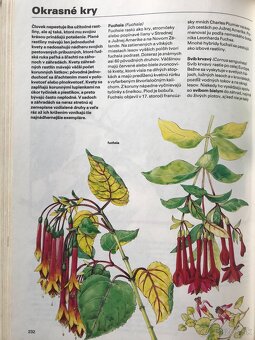 Bukovský, Psy, Golf Fyzika, Malý atlas húb, Slovenský futbal - 20