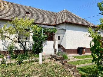 Rodinný dom s veľkou záhradou /1054 m2/, Kolárovo - 20