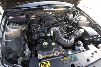 Ford Mustang 155kW (2004) - 20