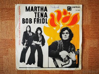 LP platne a SP single - 20