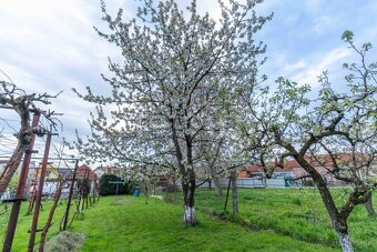 GESTTO | RODINNÝ DOM NA PREDAJ | 741 m2 POZEMOK | SMOLENICE - 20