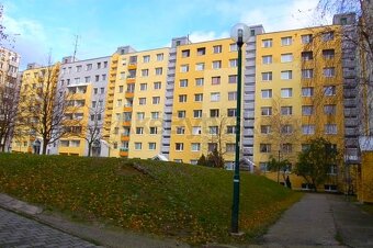 ČISTÝ 3i. BYT S NOVOU SEDAČKOU, POSTEĽAMI A KOBERCOM / BA IV - 20