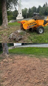 Kosenie, mulčovanie, frézovanie pňov, preprava, vypratávanie - 20
