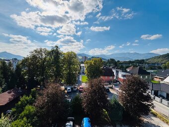 Vila Gross Likavka - 20