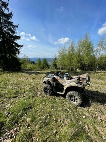 Kawasaki Brute Force 750 - 20