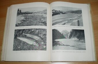 Športové rybárstvo - 20