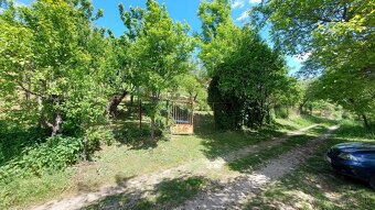 ZÁHRADNA CHATA S VINICOU, JABLONOV NAD TURŇOU - 20