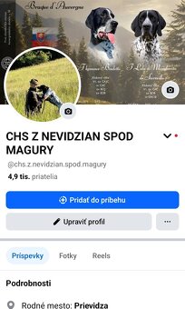 Stavač, Auvergneský stavač - 20