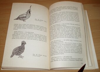 Bažanti a ostatní hrabaví - 20