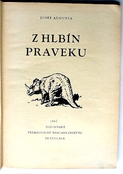 ZDENĚK BURIAN - 20
