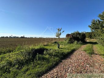 Záhradka, kde sa rodí úroda aj zážitky – Nové Zámky - 20