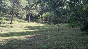 Domček v prírode, pekne udržiavaný dom, Felsódobsza Maďarsko - 20