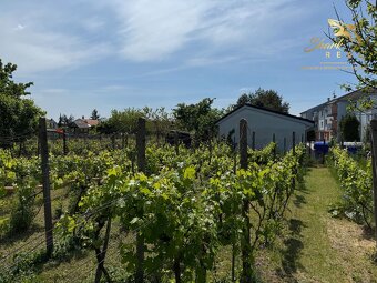 Rodinný dom na predaj v obci Slovenský Grob - 20