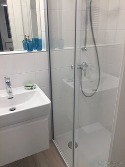 Prenájom štýlového 4-izbového bytu v projekte STEIN s dvomi - 20