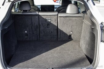 Tesla Model Y Performance - 20