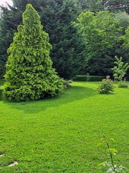 REZERVOVANÉ  Predaj domu 12284 m2, Pukanec - 20