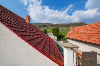 ESENCIA ÚRODY | Rodinný dom s veľkometrážnou vinicou na pred - 20