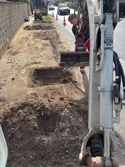 Kosenie/Strihanie/Údržba zelene/Pílenie /Drvenie - 20