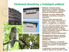 Ochrana prírody na Slovensku - audiovizuálna pomôcka - 20