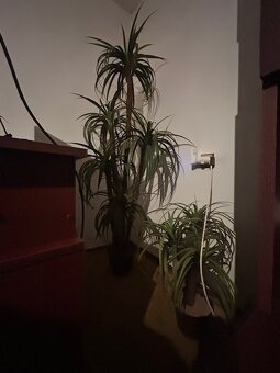 Predám sedačku, 2 kreslá, 3 taburetky - 20