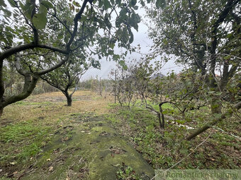 Trojizbový rodinný dom v kľudnej časti mesta Šurany - 20