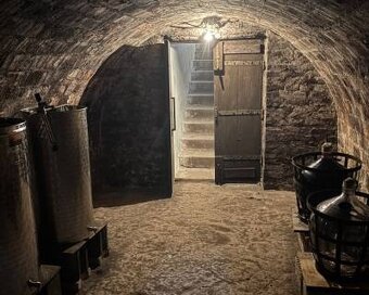 PREDAJ, VINIČNÝ DOMČEK S VINOHRADOM - PODLUŽANY - 20