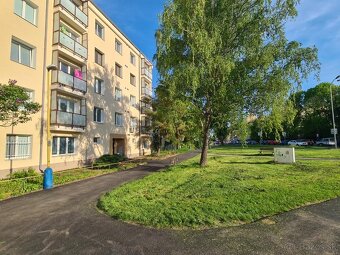 3-izb TEHLOVÝ byt (65m²) s krásnymi parketami / Rastislavova - 20