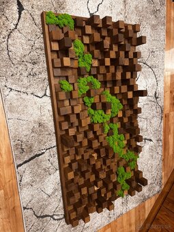 Machové obrazy - akustické difúzory - 20