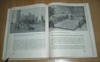 Zajac a králik - 20