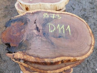 Koláče -  orechové drevo, fošne, rezivo - 20