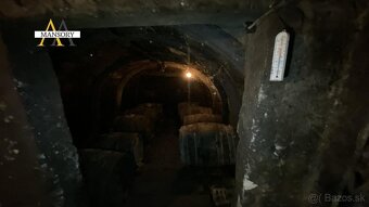 Na predaj vínny dom s vinicami a vínnymi pivnicami 13974 m2  - 20