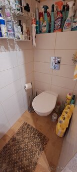 Na predaj chalupa na myjavských kopaniciach PO ZĽAVE - 20