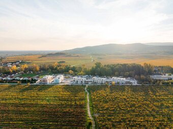 TOREA - ZELENÉ NIVY - 2i BYT S BALKÓNOM V BYT. DOME D - PEZI - 20