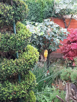 Výrazne znížená cena....Jedinečný rodinný dom v Šali/Veči - 20