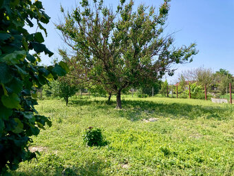 Rodinný dom s veľkou záhradou /1054 m2/, Kolárovo - 20