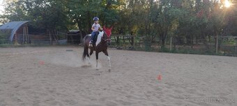 Jazdenie na koňoch - 20
