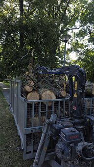 🌳 Arboristické služby od certifikovaných odborníkov 🌳 - 20