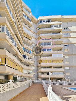 Apartmán 3+kk s bazénom Torrevieja-Španielsko - 20