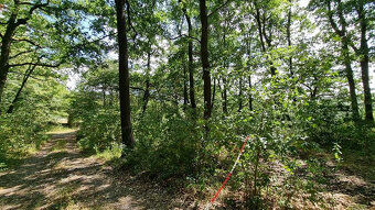 Fínsky zrub na samote Devičie, okres Krupina - 20