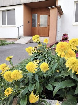 CENA DOHODOU, na predaj, 3 izbový byt+ balkón, Kežmarok- Juh - 20