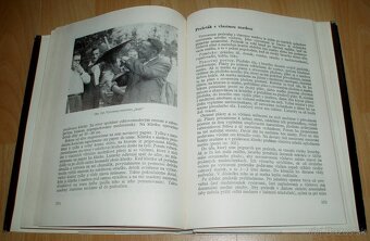 Práce včelára - 20