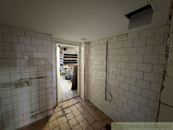 Budova na podnikanie alebo trvalé bývanie v obci Krušovce - 20