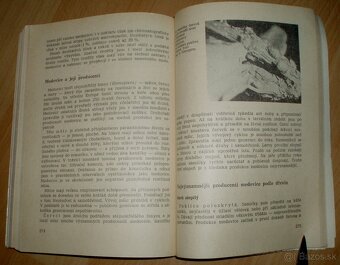 Včelarství - 20