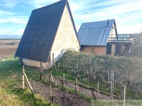 Dvojposchodová chatka s vinohradom na okraji obce Bátorov - 20