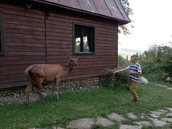 Chata Orava Oravice - 20