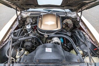 Pontiac Firebird  1977 - 20