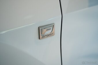 Lexus RX 450h F Sport - 20
