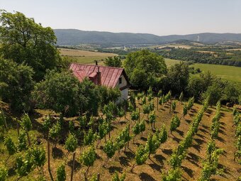 Chata s rozsiahlym pozemkom nad obcou Hrušov - 20