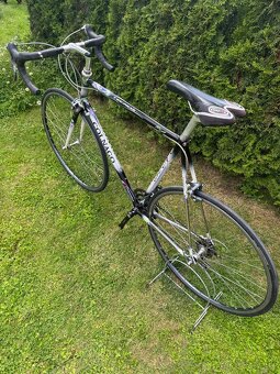 Colnago Tecnos Art Decor - 20
