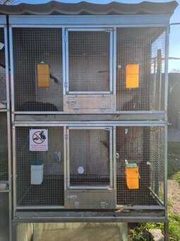 Voliéry..Klietky.Zajačník - 20